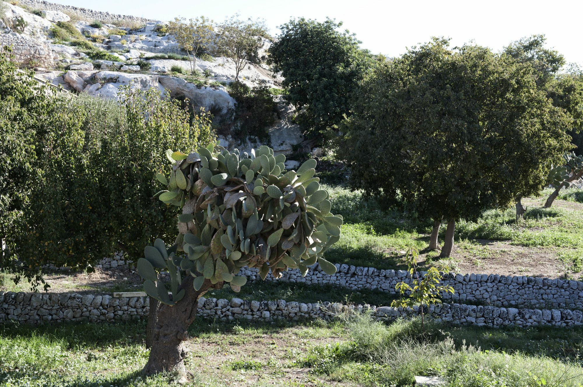 Valle Dell'Acanto Modica Kültér fotó