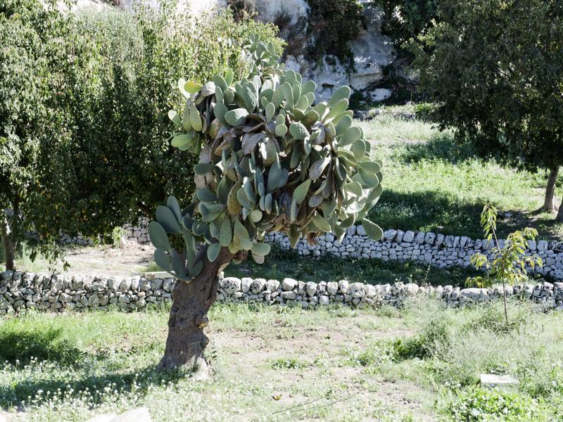 Valle Dell'Acanto Modica Kültér fotó